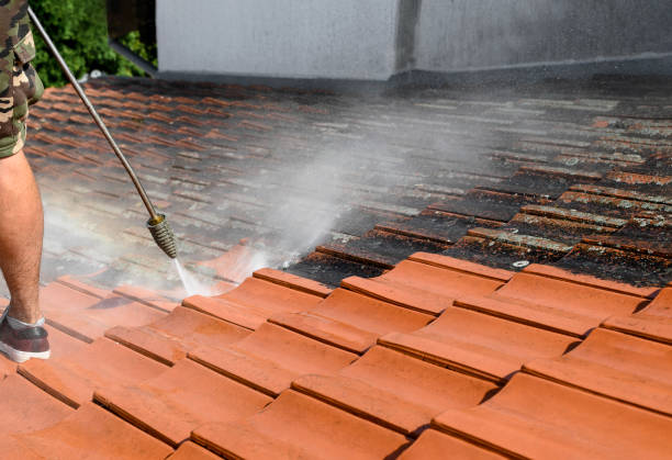 Roof Power Washing Services in Fair Plain, MI